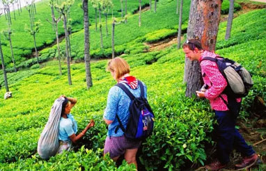 Kerala Tour Packages From Delhi | Kerala Tour Packages From Cochin