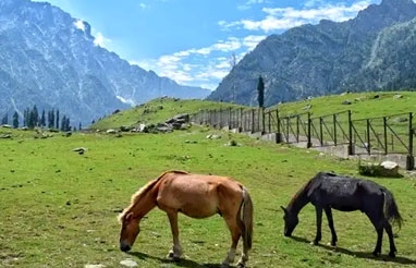 Kashmir Tour Packages From Delhi  | Kashmir Tour Packages From Srinagar