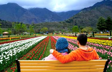 Kashmir Tour Packages From Delhi  | Kashmir Tour Packages From Srinagar