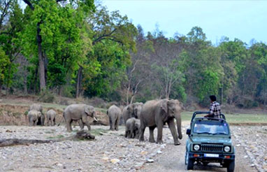 Uttarakhand Tour Packages From Delhi | Uttarakhand Tour Packages From Haridwar