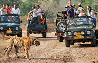 Uttarakhand Tour Packages From Delhi | Uttarakhand Tour Packages From Haridwar